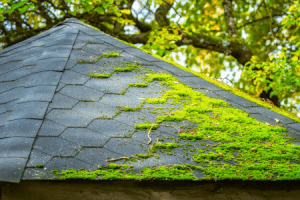 7 Summer Home Maintenance Tips THE REMAKEL GROUP REALTOR PRESCOTT ARIZONA 10 MAINTENANCE TIPS TO EXTEND THE LIFESPAN OF YOUR ROOF